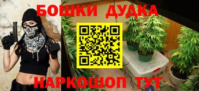 прущие грибы Краснодар