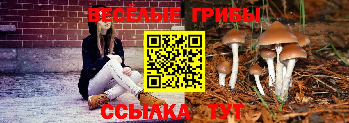 как найти закладки  Псилоцибиновые грибы прущие грибы  Тобольск  Вход с VPN  Псилоцибиновые грибы Magic Shrooms 
