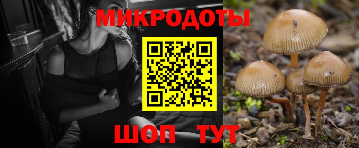 Галлюциногенные грибы Psilocybine cubensis Тобольск